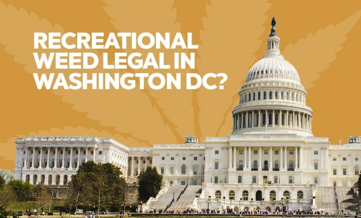Recreational Weed legal in Washington DC? Gifted Curators