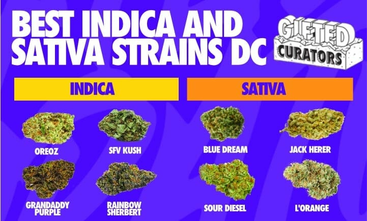 best indica and sativa strains dc