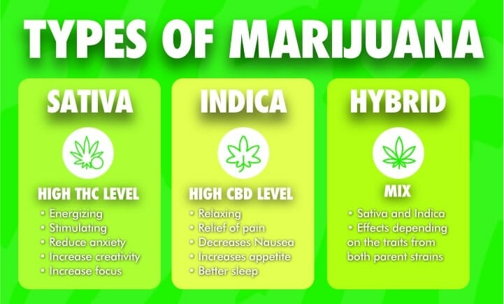 types of marijuana