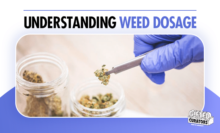 understanding weed dosage