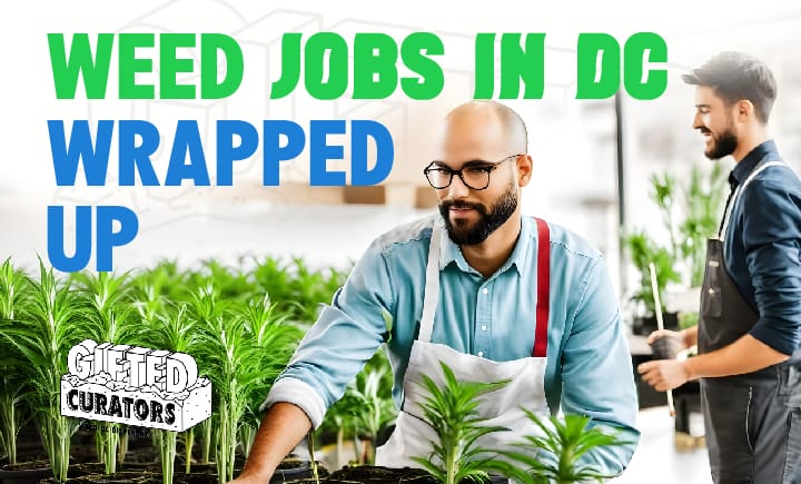 weed jobs in dc wrapped up